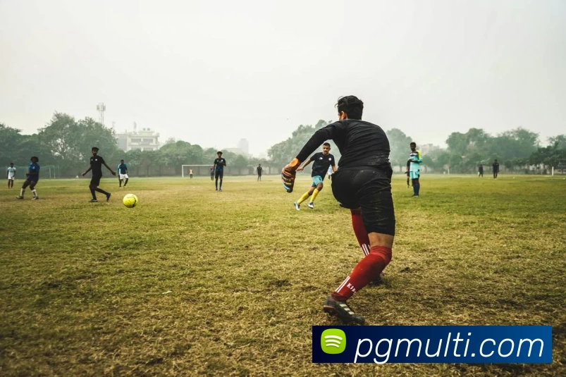 pg模拟器平台生态图